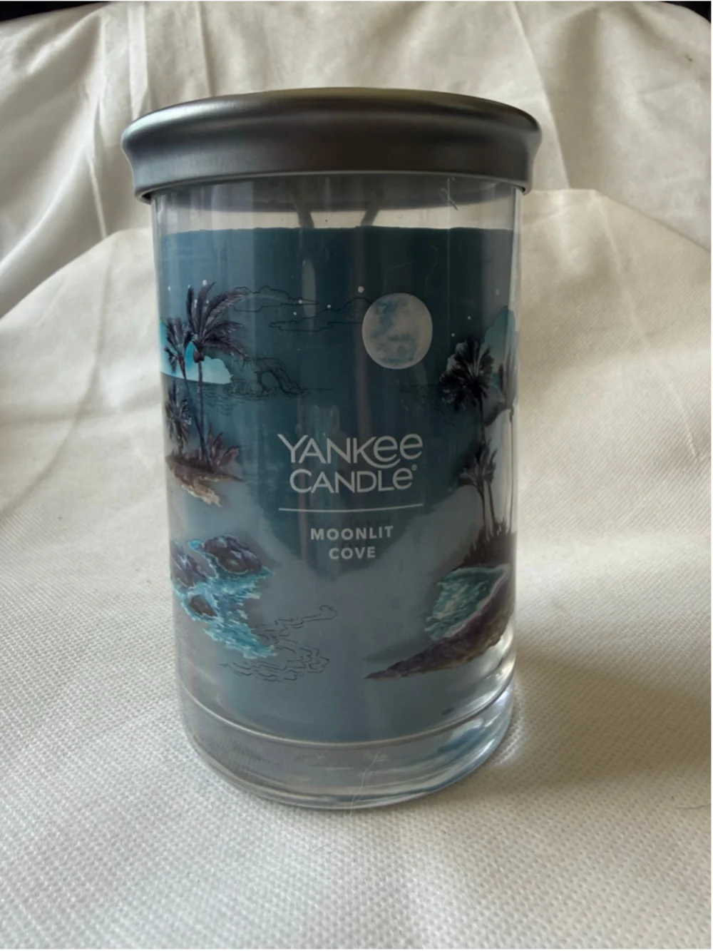 NEW Yankee Candle Large Jar Candle 20 oz Double Wick - 2 Wick Decorative